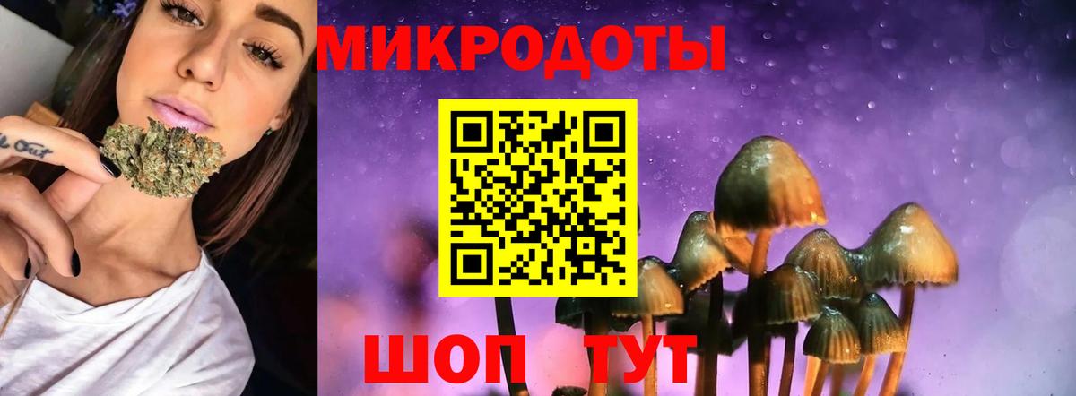 Псилоцибиновые грибы мухоморы  Галлюциногенные грибы Magic Shrooms  Выкса  Вход с VPN 